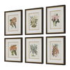 Orchid Botanical Framed Prints Set/6, Painting by Uttermost, 20.5" width x 24.5" height x 2" depth thumbnail 4