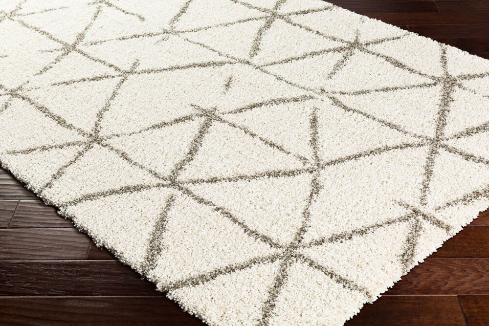 Serengeti Shag Machine Woven Rug large image 