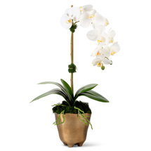 Online Designer Bedroom Timeless Living Realtouch Orchid Arrangement