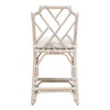 Bayview Outdoor Counter Stool, Dining Chair by Essentials for Living, 19.75" width x 41" height x 23" depth thumbnail 5