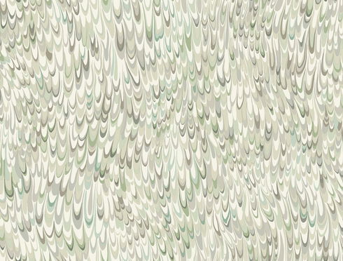 Aslan Green Wallpaper