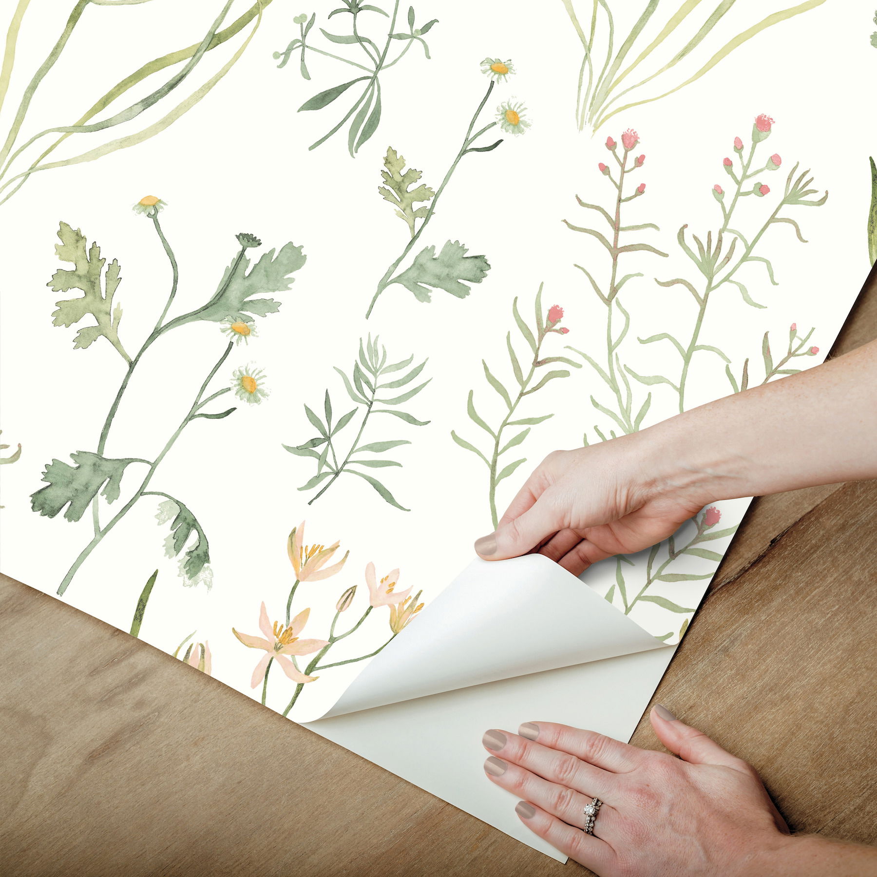 Alpine Botanical Peach Peel & Stick Wallpaper large image 