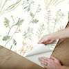 Alpine Botanical Peach Peel & Stick Wallpaper thumbnail 4