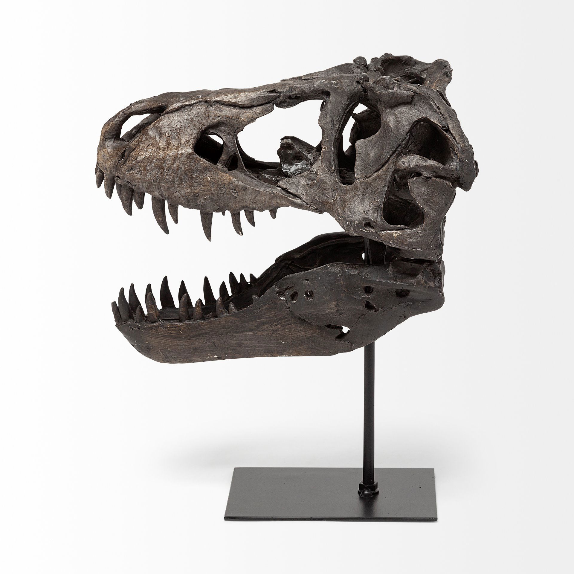 Jurassic 6L x 10W Brown Resin Tyrannosaurus Skull Replica, Decorative Object by Mercana, 6" length x 9.84" width x 11.81" height View 4