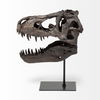 Jurassic 6L x 10W Brown Resin Tyrannosaurus Skull Replica thumbnail 3