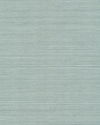 Maguey Sisal Thistle Wallpaper thumbnail 0