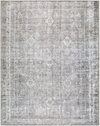Kemer Machine Woven Rug, by Surya, 9'0.27" length x 6'6.74" width thumbnail