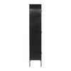 Halston Cabinet Black thumbnail 2