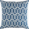 Trudy Accent Pillow, Decorative Pillow by Surya, 18" length x 18" width thumbnail