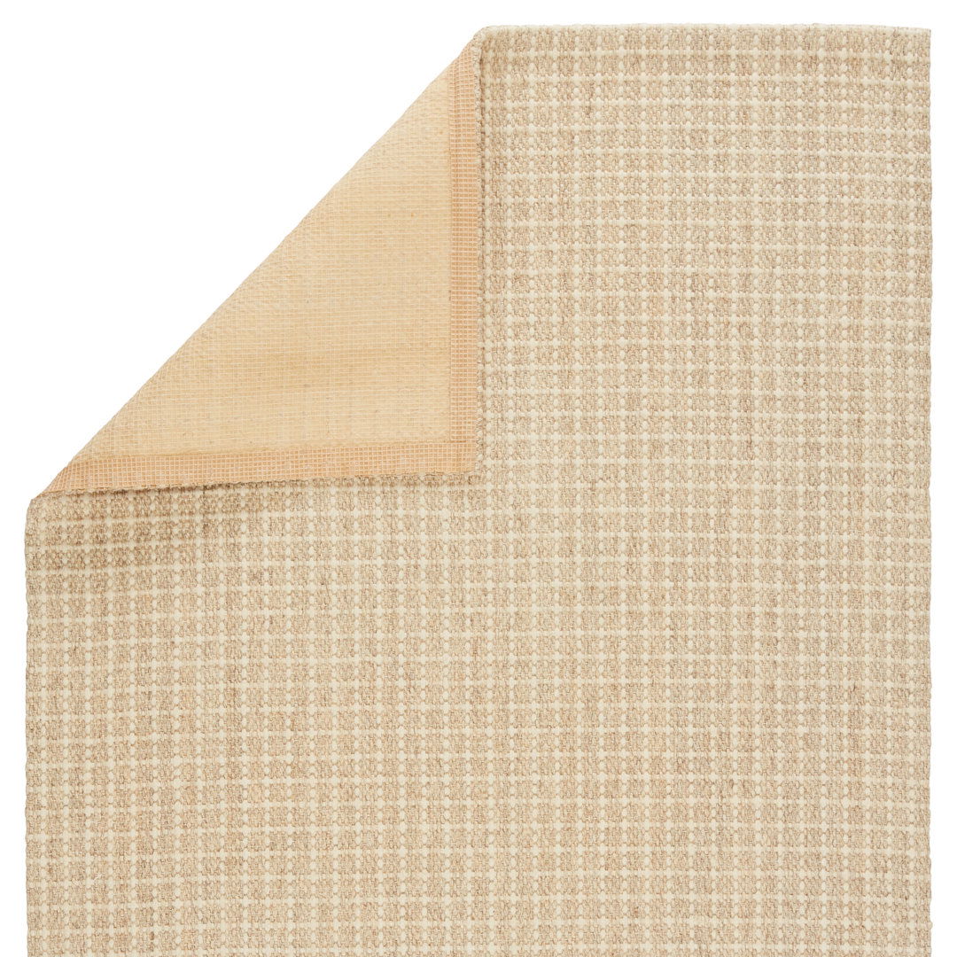 Handmade Handwoven Beige Area Rug large image 