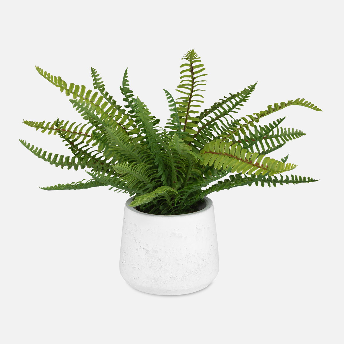 Boston Fern In White Ceramic Pot, Artificial Plants & Flower by Uttermost, 14" width x 14" height x 14" depth View 1