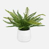 Boston Fern In White Ceramic Pot, Artificial Plants & Flower by Uttermost, 14" width x 14" height x 14" depth thumbnail 1
