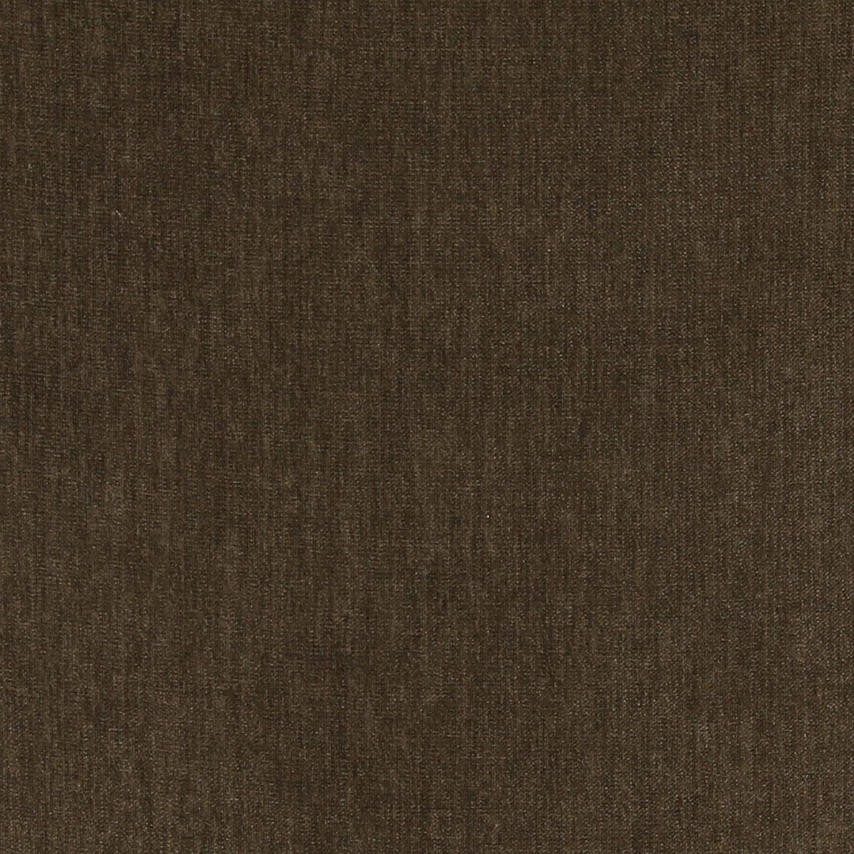 Talesa Occasional Chair Olive, Accent Chair by Dovetail, 28.25" width x 32.25" height x 33.25" depth View 5