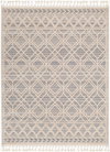 Sofia Machine Woven Rug, by Surya, 6'11.86" length x 5'2.99" width thumbnail