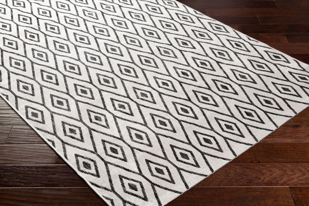 Eagean Machine Woven Rug large image 