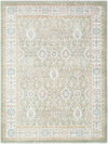 Amir Machine Woven Rug, by Surya, 6'11.86" length x 5'2.99" width thumbnail