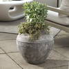 Echoes Of Time Concrete Outdoor Planter, by Uttermost, 16" width x 13.75" height x 16" depth thumbnail 2