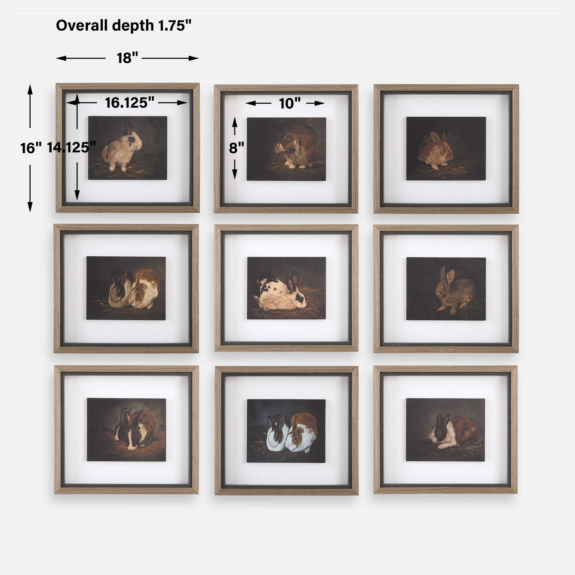 Resting Bunny Framed Prints Set/9, Painting by Uttermost, 18" width x 16" height x 1.75" depth View 3