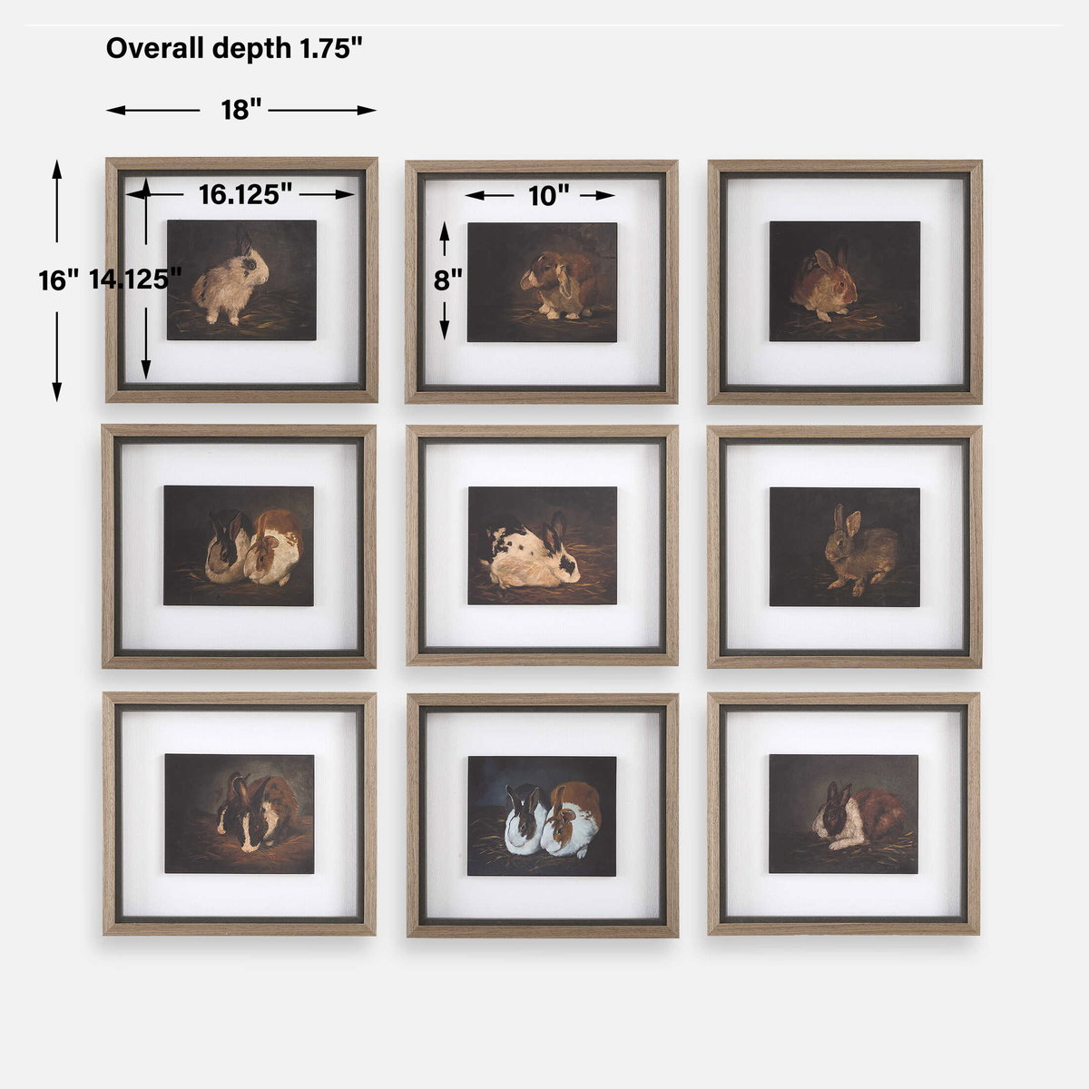 Resting Bunny Framed Prints Set/9, by Uttermost, 1'6" width x 1'4" height x 1.75" depth View 3