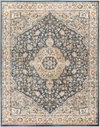 Davaro Machine Woven Rug, by Surya, 1'3.75" length x 1'3.75" width thumbnail
