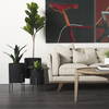 Claypoole (Set of 3) Black Plant Stands, Planter by Mercana, 15" length x 15" width x 24.5" height thumbnail 5
