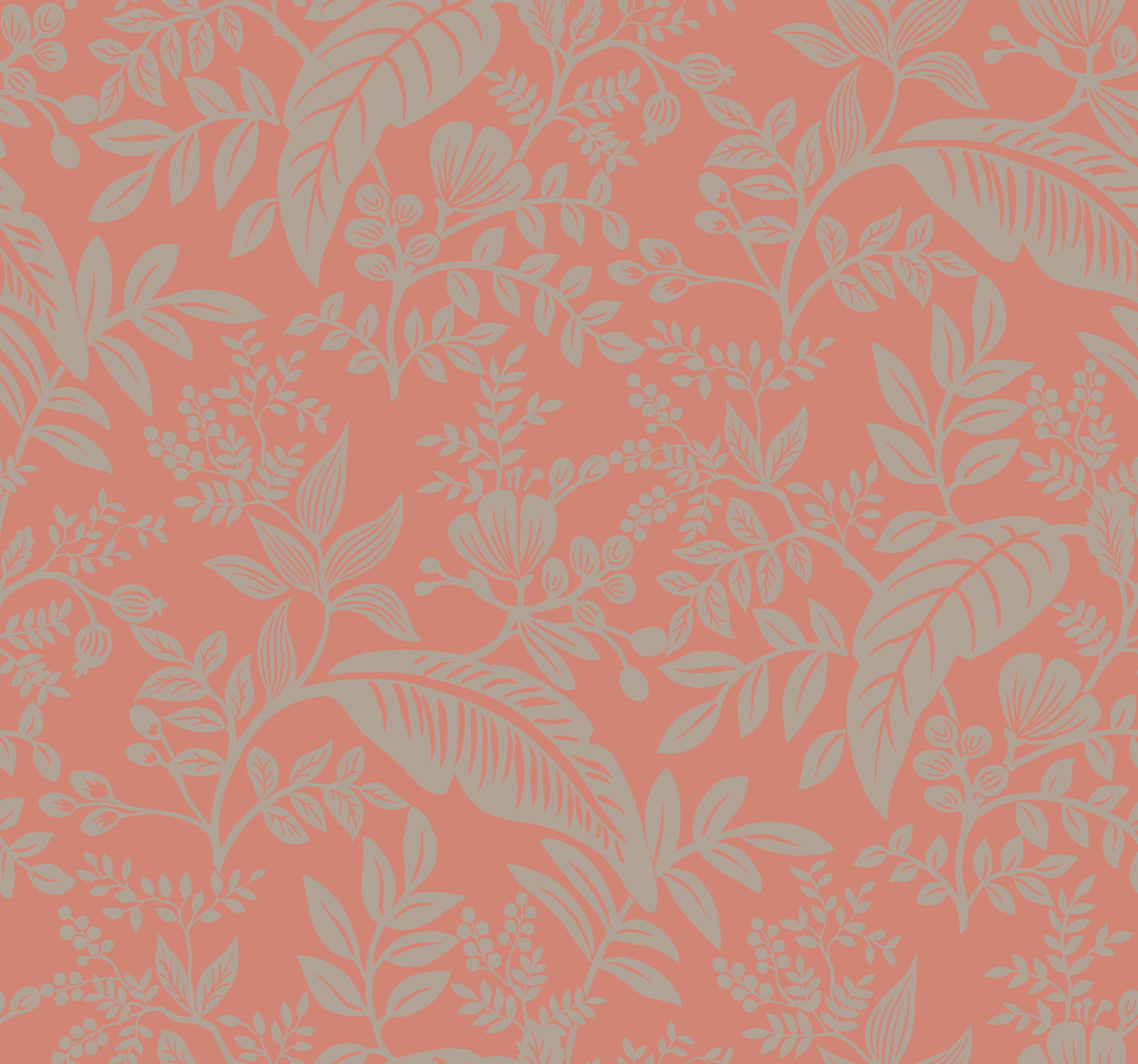 Canopy Rose Wallpaper large image 