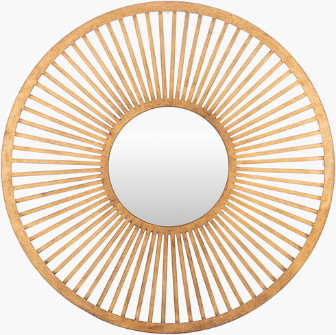 Vision Mirror