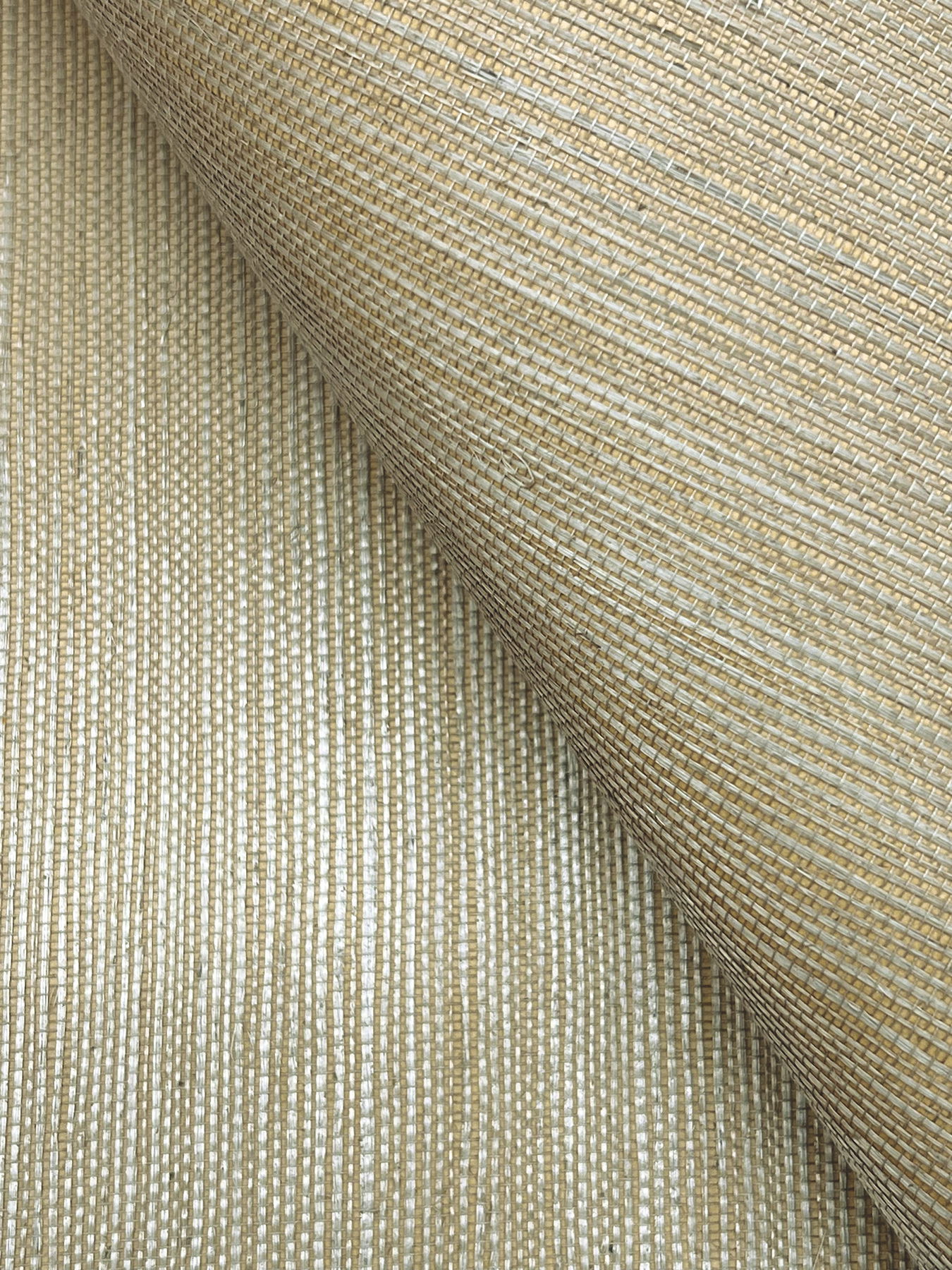 Maguey Sisal Dune Wallpaper large image 