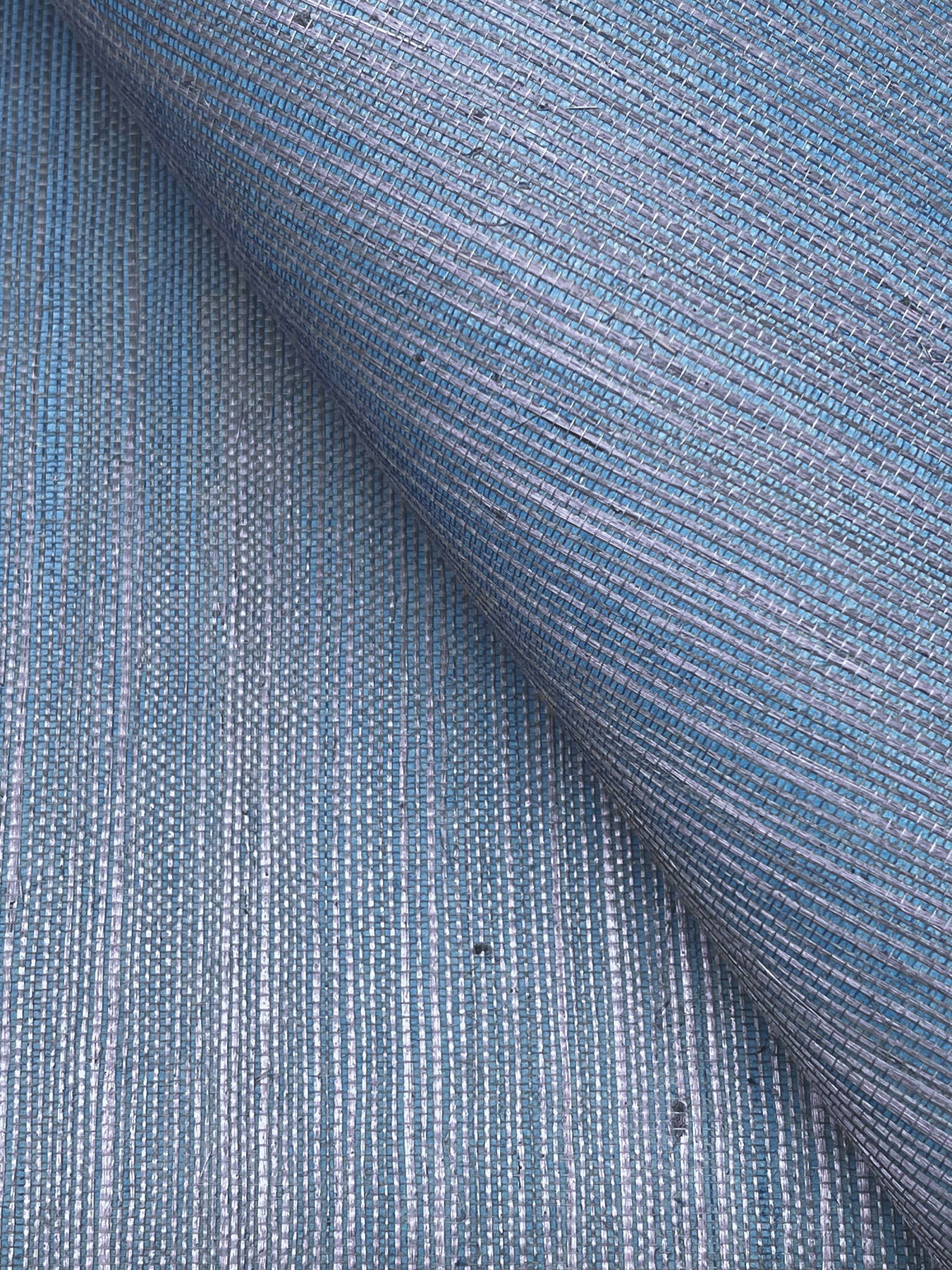 Maguey Sisal Bluebell Wallpaper large image 
