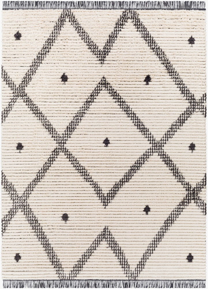 Enzo Machine Woven Rug large image 