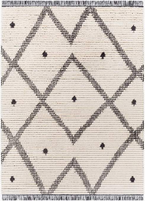 Enzo Machine Woven Rug
