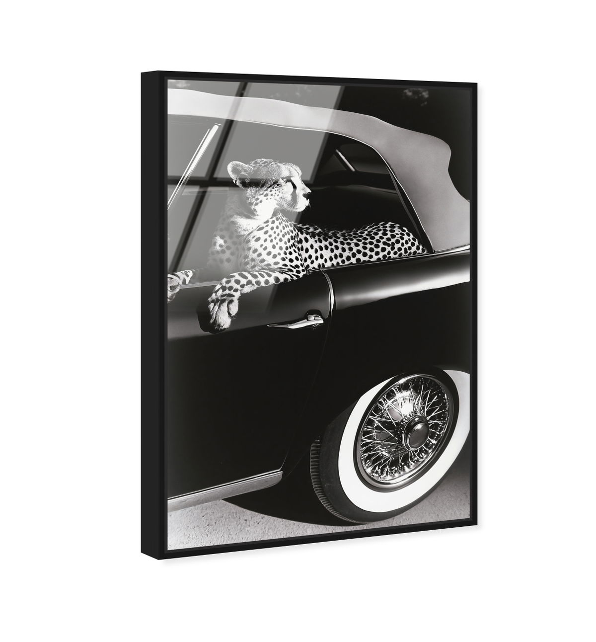 Convertible Feline I (No Embellishment), Art by Oliver Gal,  24x36 View 2