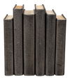 Shagreen Books, Set Of 12, Antique Grey thumbnail 9