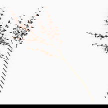 Online Designer Home/Small Office Faux Siberian Elm Branch, Brown