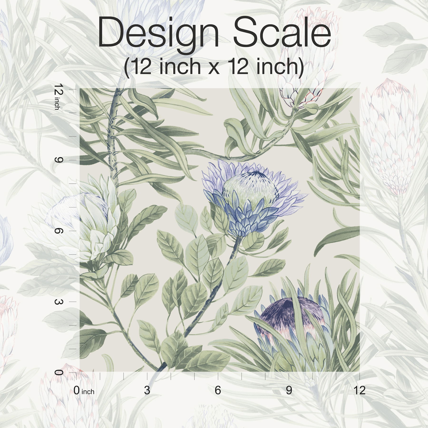 Protea Cream & Blue Wallpaper large image 