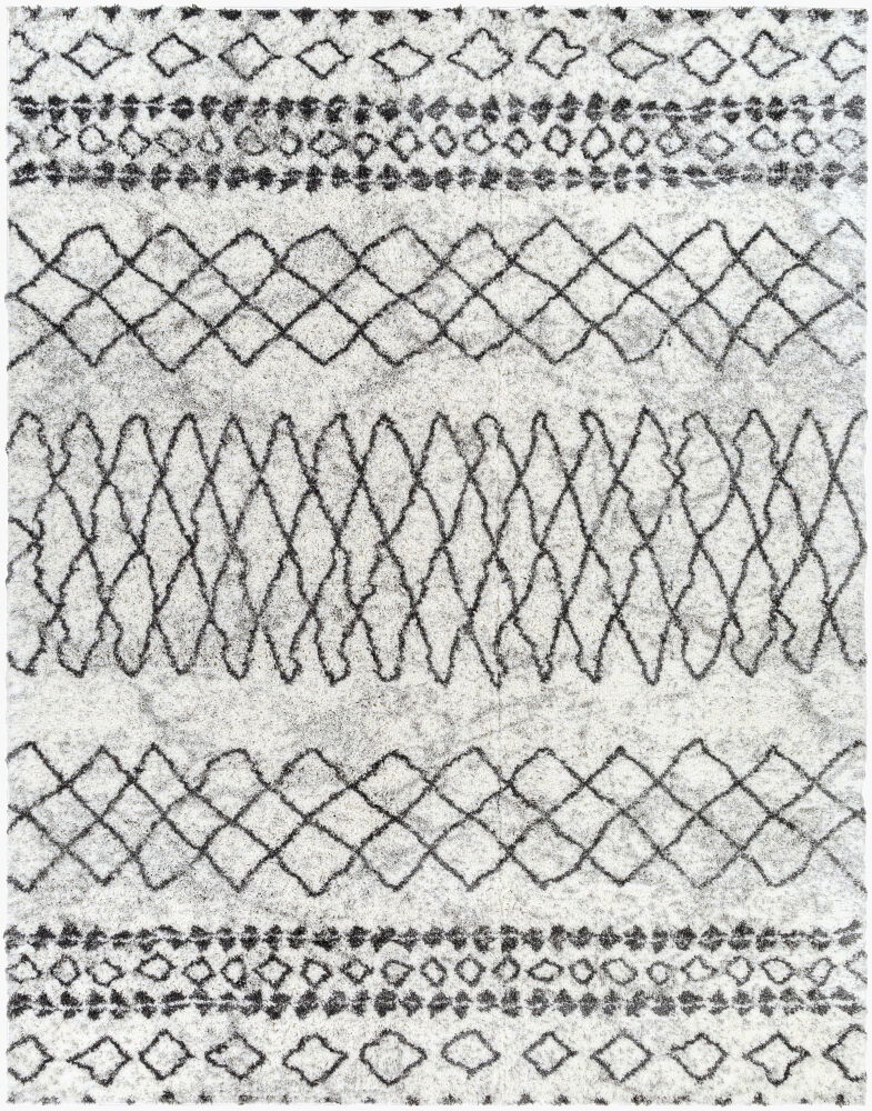 Aliyah Shag Machine Woven Rug large image 