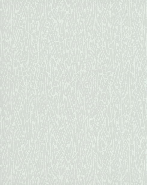 Gala Black Wallpaper