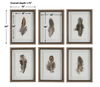 Birds Of A Feather Framed Prints, S/6 thumbnail 2