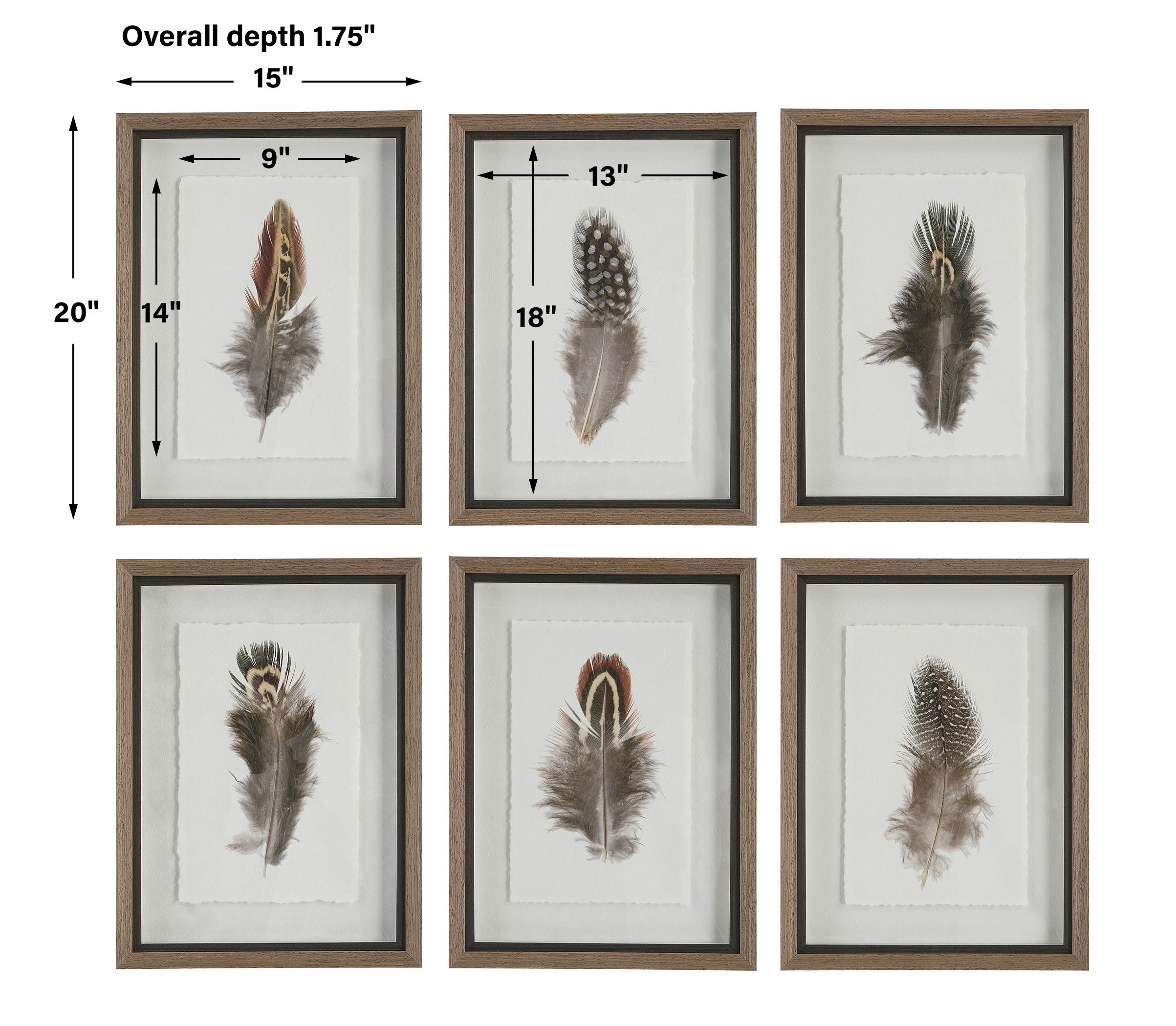 Birds Of A Feather Framed Prints Set/6, Painting by Uttermost, 15" width x 20" height x 1.75" depth View 3
