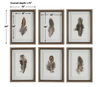 Birds Of A Feather Framed Prints Set/6, Painting by Uttermost, 15" width x 20" height x 1.75" depth thumbnail 3