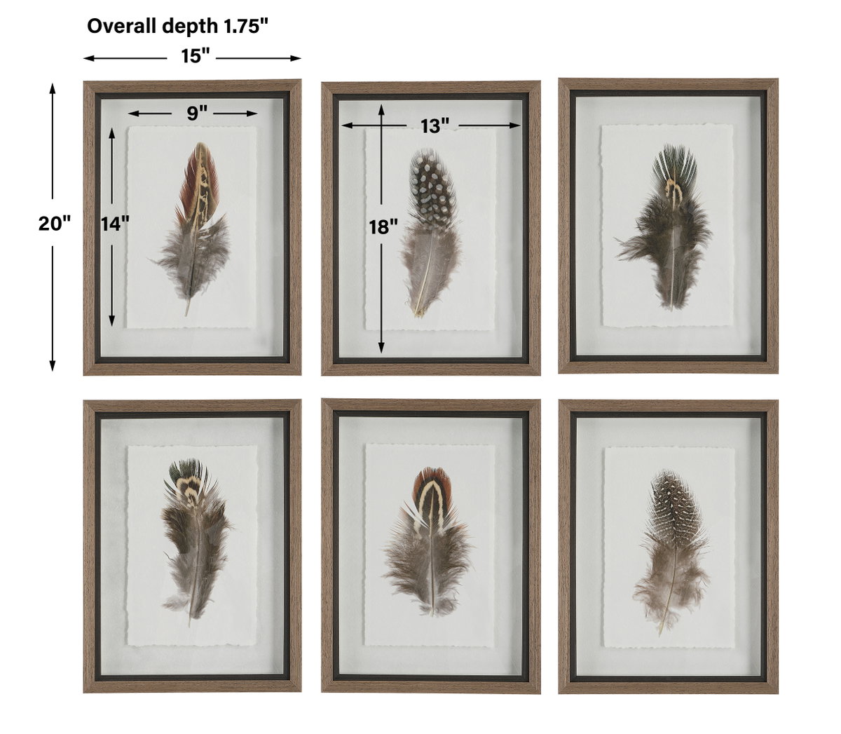 Birds Of A Feather Framed Prints Set/6, by Uttermost, 1'3" width x 1'8" height x 1.75" depth View 3