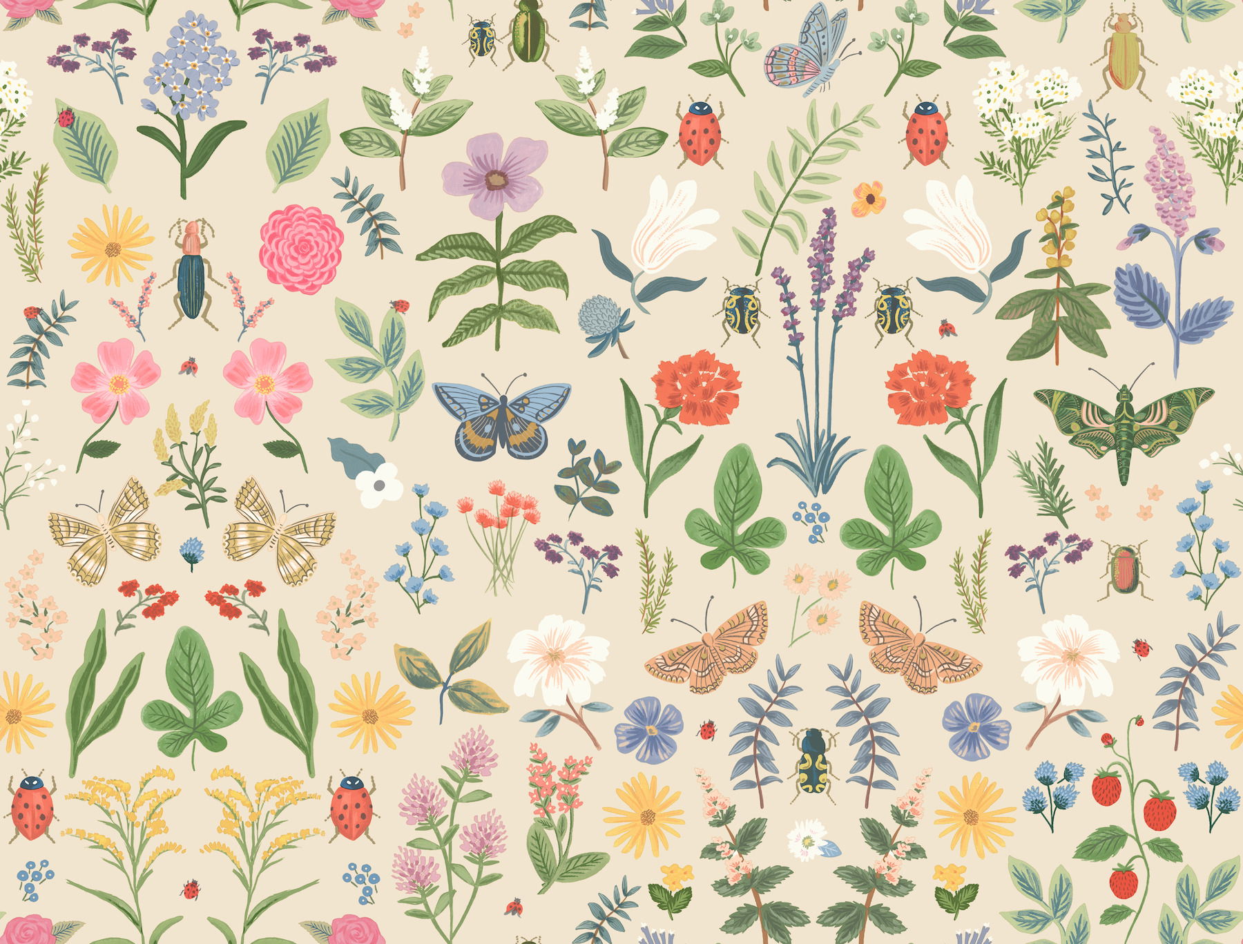 Curio Cream Peel & Stick Wallpaper large image 
