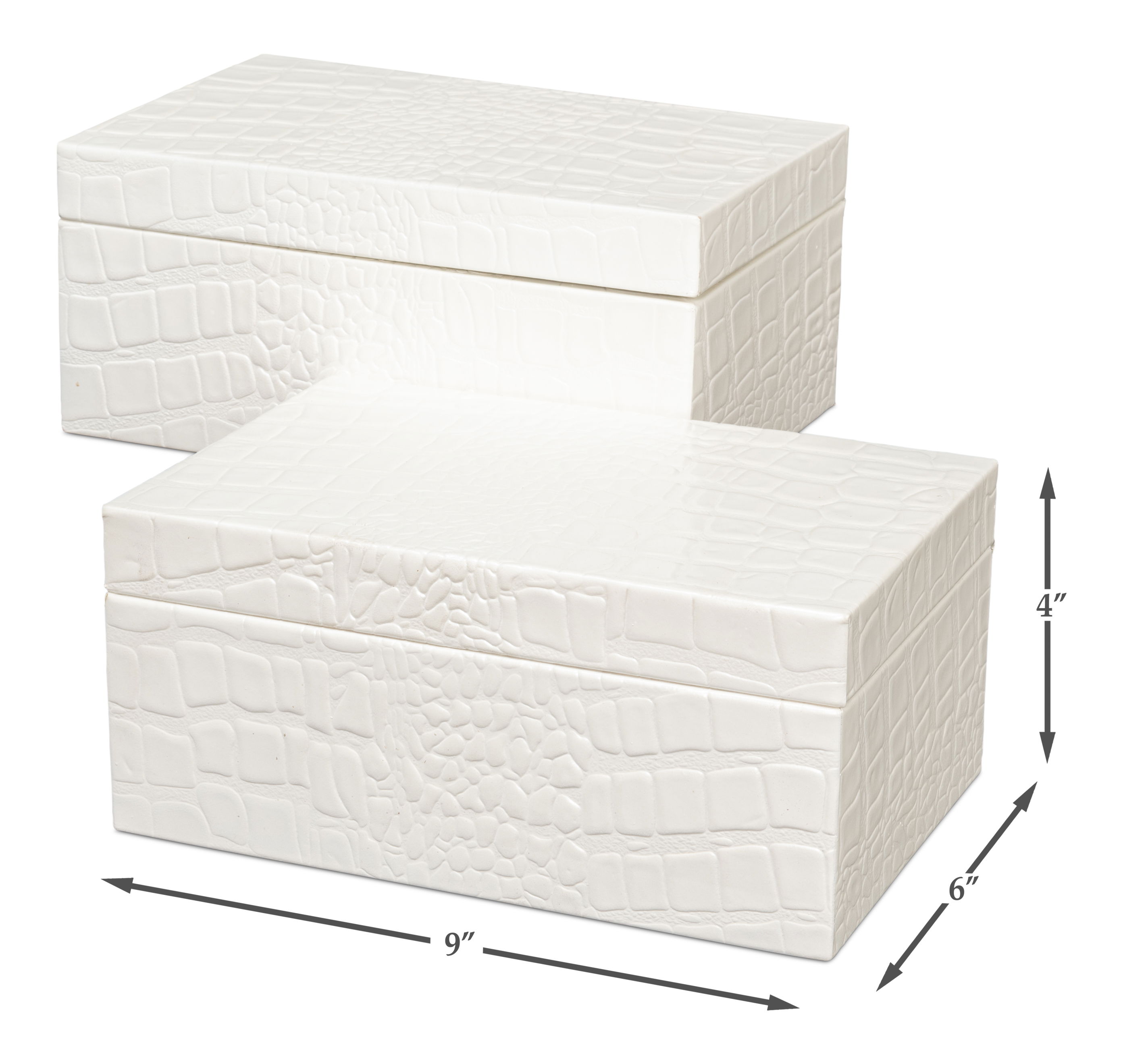 Candece Leather Box  Pearl  S/2 large image 