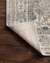 Loloi Teagan Rug, 2'8" length x 4' width thumbnail 8