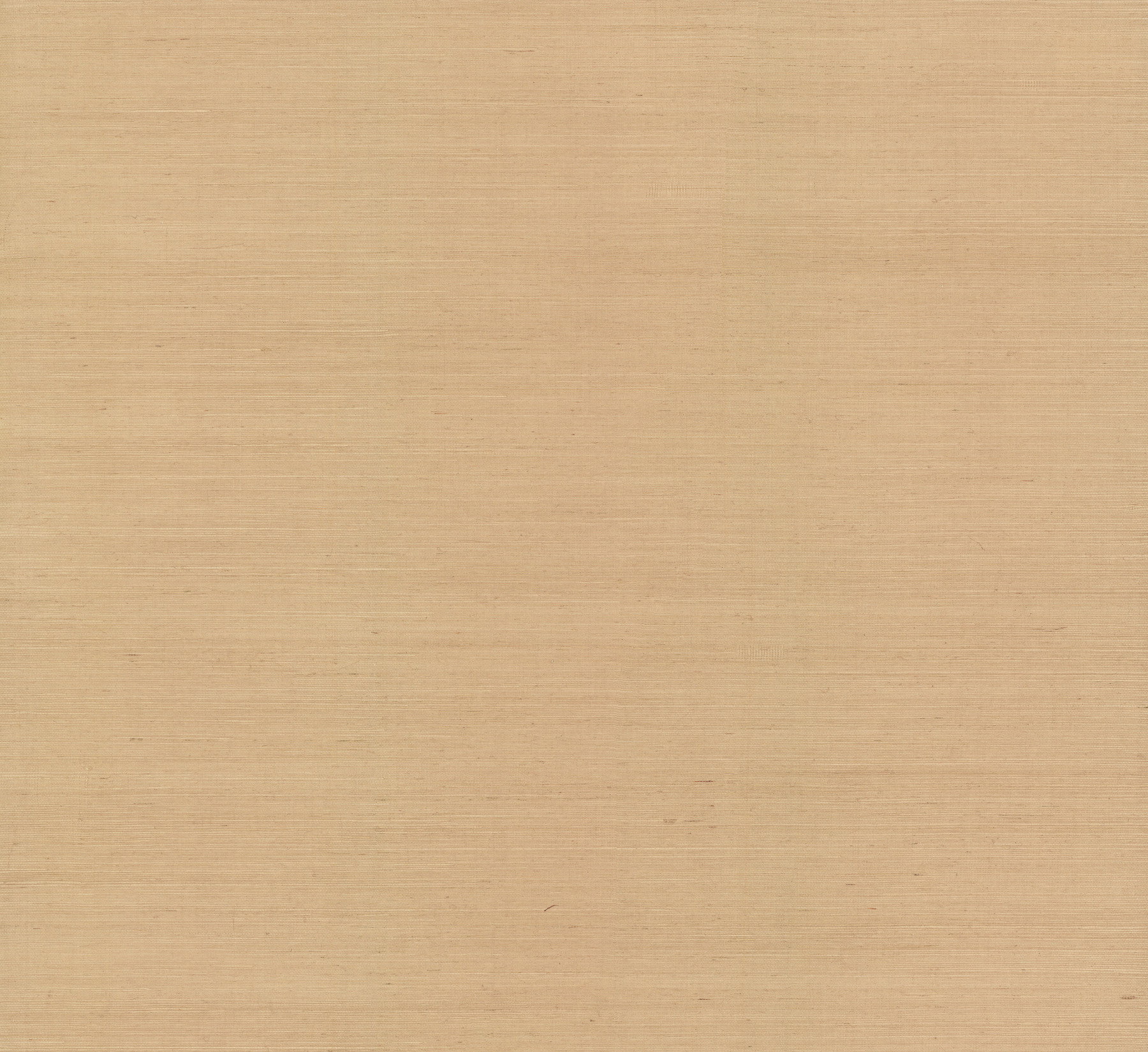 Plain Grass White Wallpaper, by York Wall, 24' length x 3' width x 0.02" depth View 1