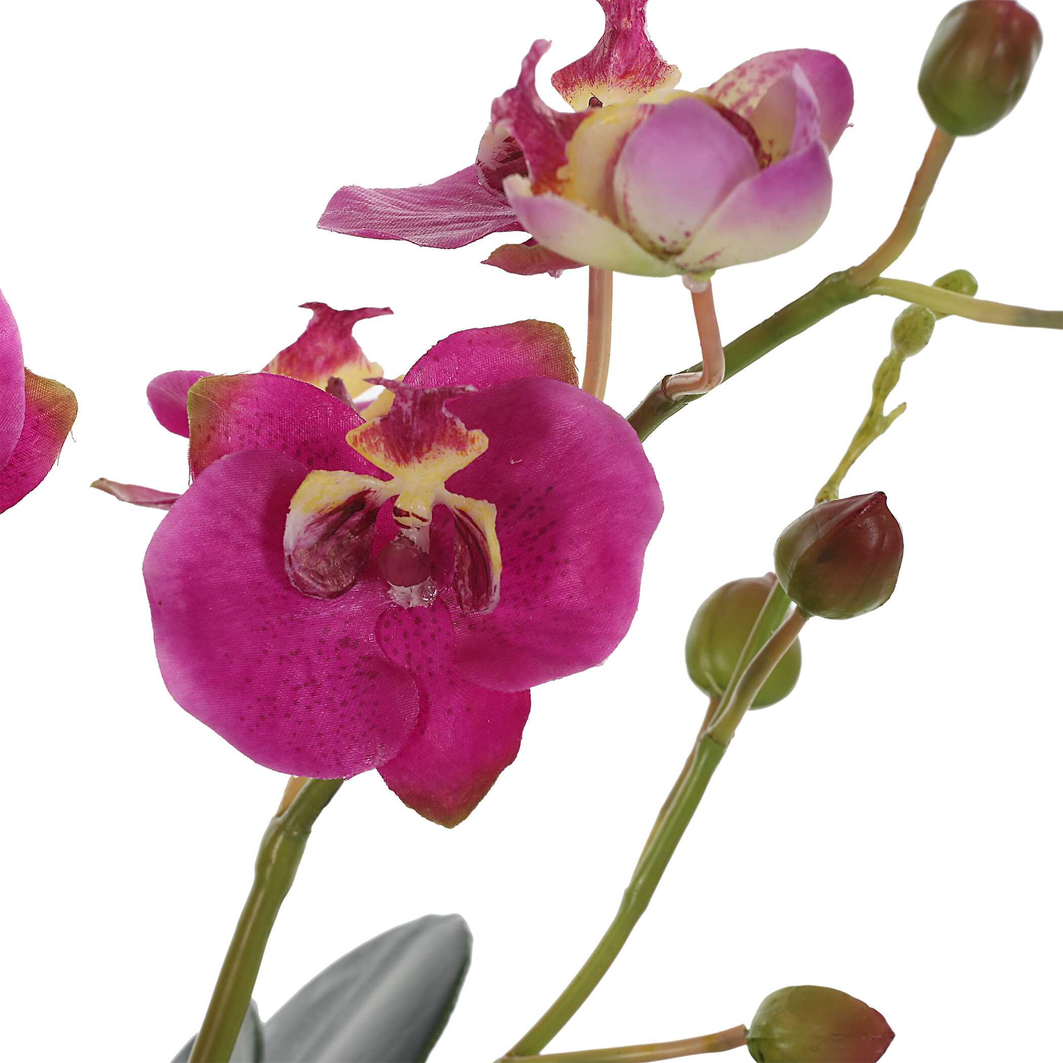 Glory Fuchsia Orchid, Decorative by Uttermost, 11.25" width x 13" height x 5.25" depth View 6