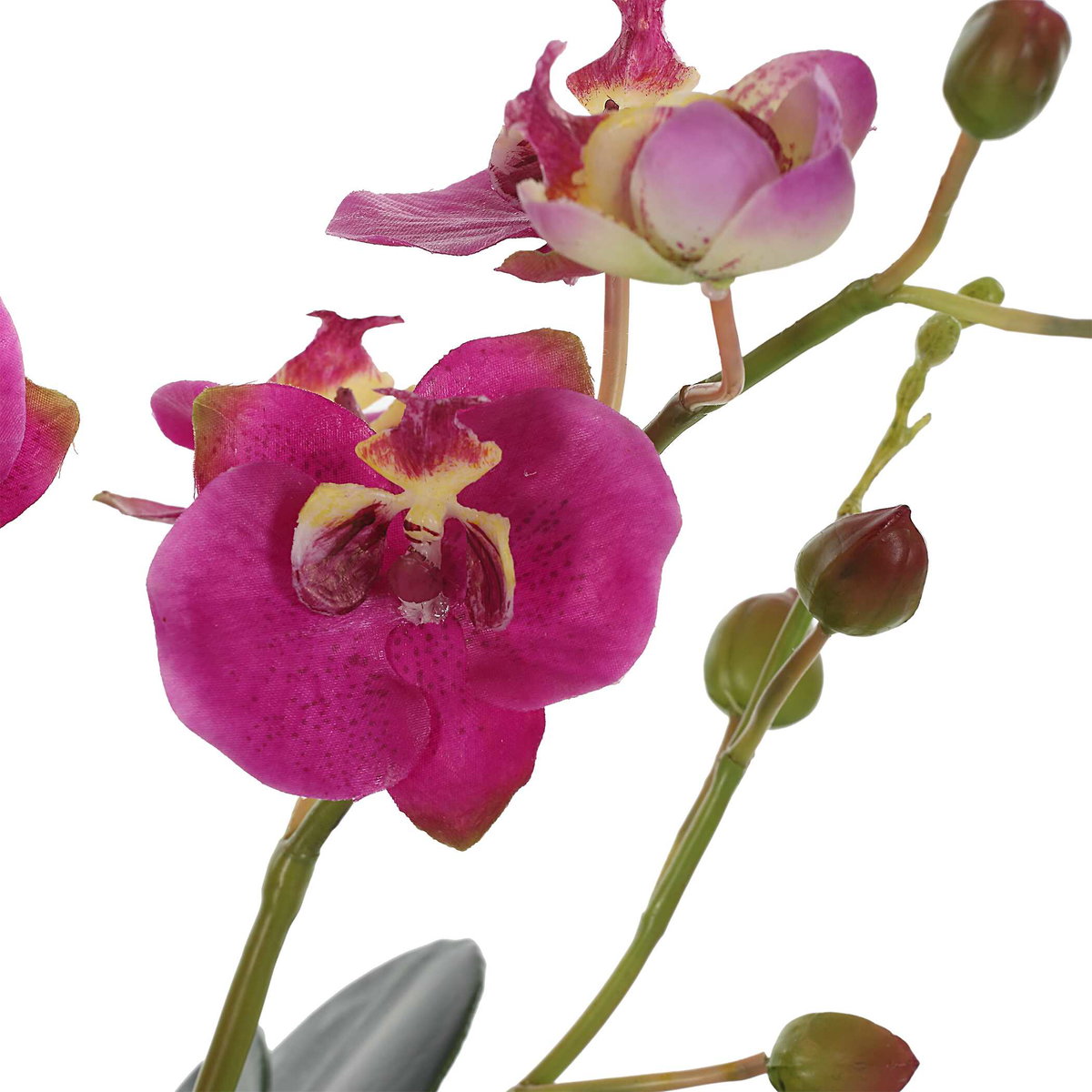 Glory Fuchsia Orchid, by Uttermost, 11.25" width x 1'1" height x 5.25" depth View 6