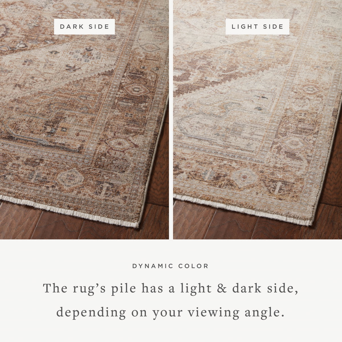 Loloi Lyra Rug, 5'3" length x 7'9" width View 4