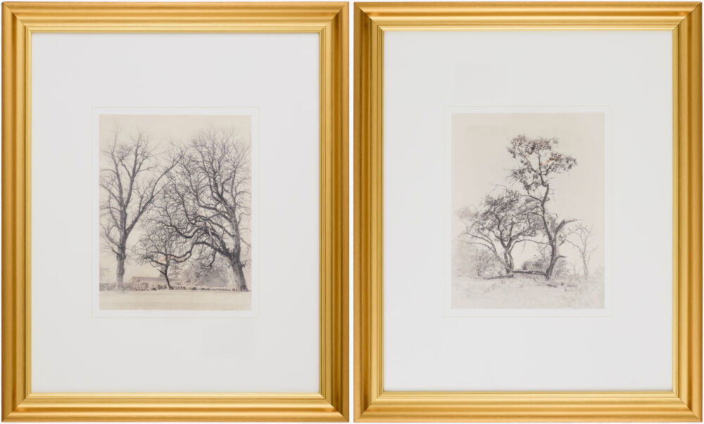 Coconino Framed Art, Painting by Surya, 19" width x 23" height