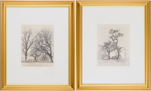 Coconino Framed Art